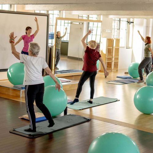 Mehrere Personen bei einem Kurs mit Medizinbällen im Fitnessstudio in Haslach